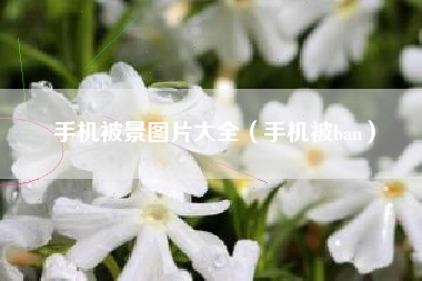 手机被景图片大全（手机被ban）