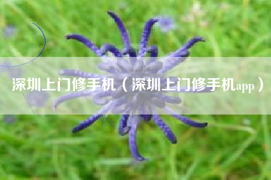 深圳上门修手机（深圳上门修手机app）