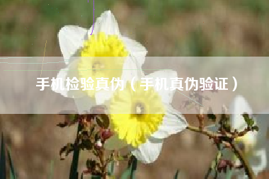 手机检验真伪（手机真伪验证）