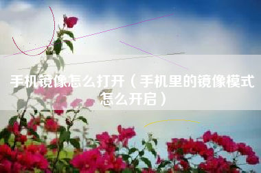 手机镜像怎么打开（手机里的镜像模式怎么开启）