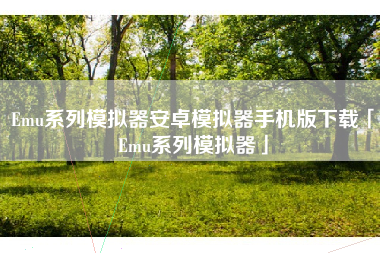 Emu系列模拟器安卓模拟器手机版下载「Emu系列模拟器」