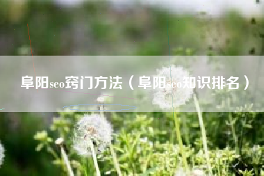 阜阳seo窍门方法（阜阳seo知识排名）