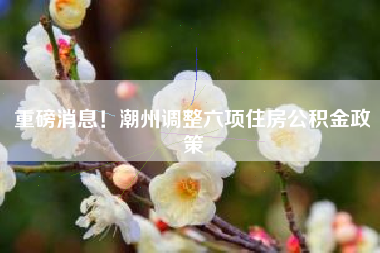 重磅消息！潮州调整六项住房公积金政策