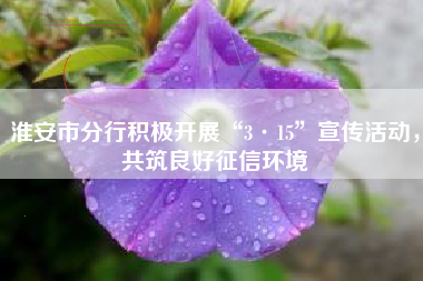淮安市分行积极开展“3·15”宣传活动，共筑良好征信环境