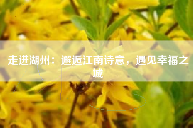 走进湖州：邂逅江南诗意，遇见幸福之城