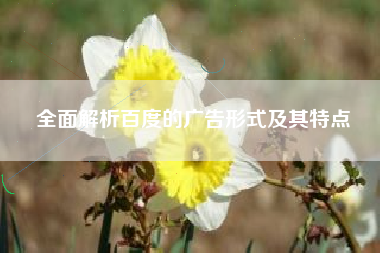 全面解析百度的广告形式及其特点